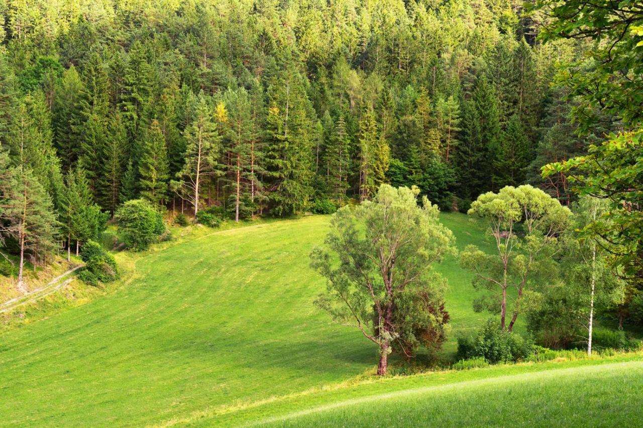 Landsitz Oberhof Petit Hotel Muggendorf  Экстерьер фото